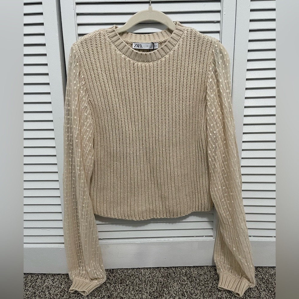 Zara Sweater with sheer sleeves